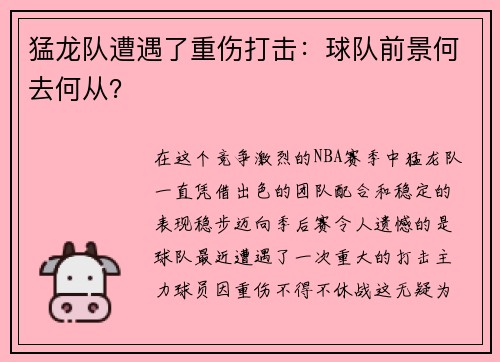 猛龙队遭遇了重伤打击：球队前景何去何从？