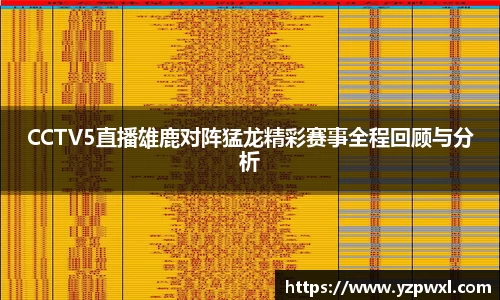 QY球友会